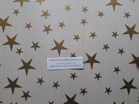 Pergamijn A4 transparant met gouden sterren P2-225-ster